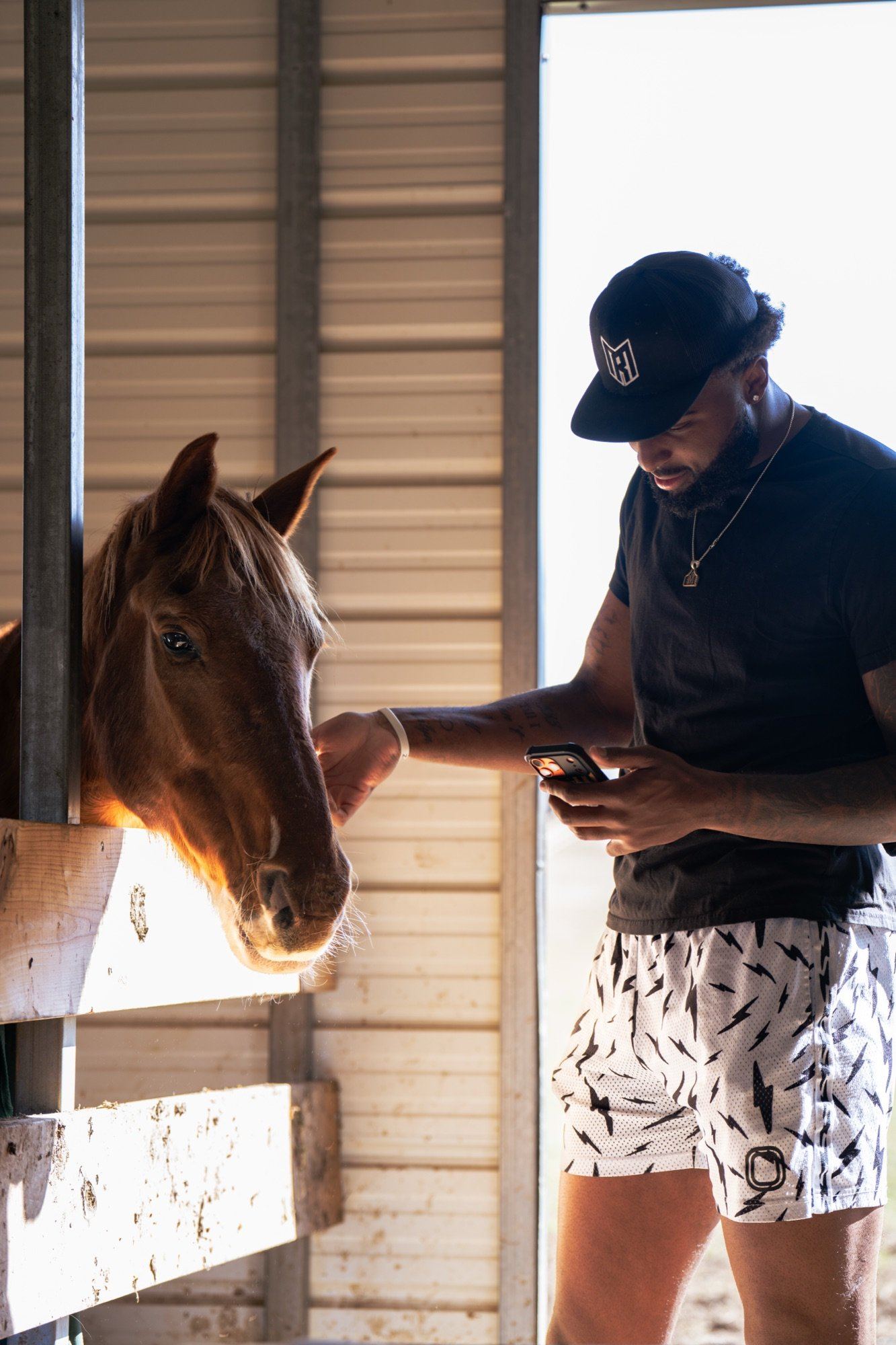 Portrait with a horse, all-star break
